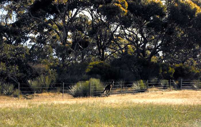 ISL04217 - GALLERY.jpg